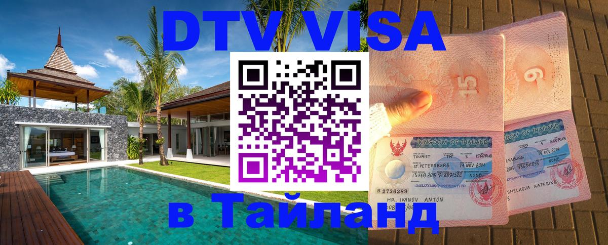 Оформление DTV визы под ключ: стоимость и тарифы, только загранпаспорт - 18.11.2025 